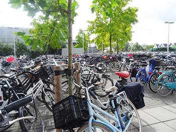 Biciclette nel cortile della scuola olandese